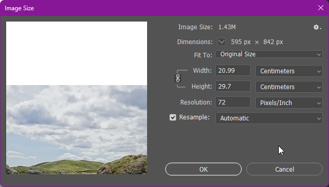 A screenshot of the 'Image Size' window in Photoshop showing the file size and resolution of the medium resolution test image. 595x842px, 1.43M.